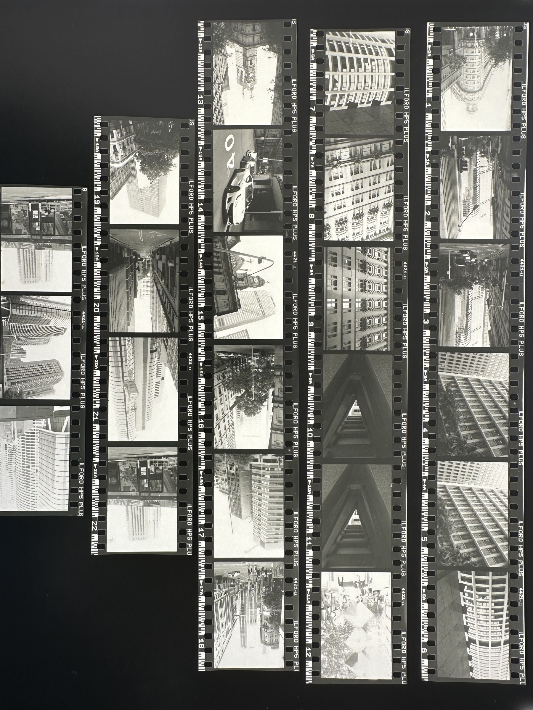 Black and white contact sheet showing strips of 35mm film photographs